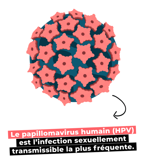 Infos Sur L'HPV Pour Les Femmes I Portail D'information HPV